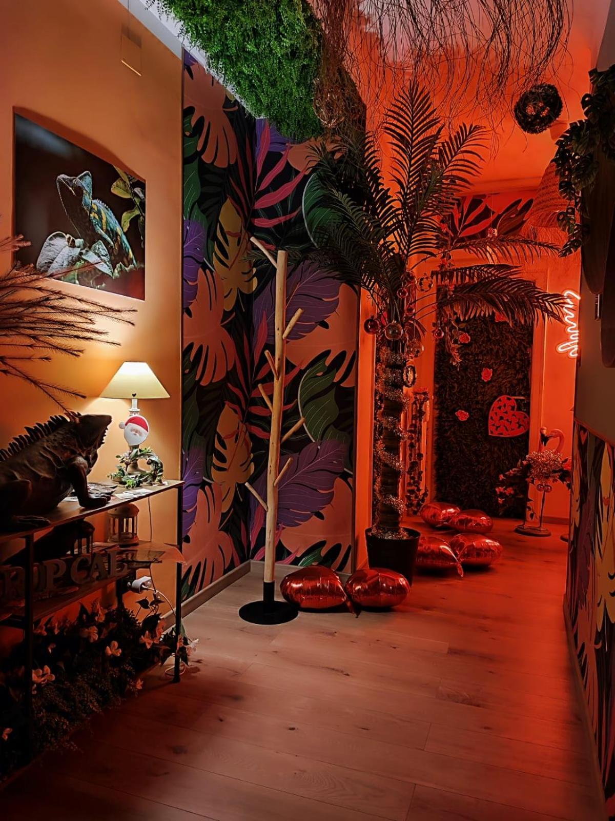 Suite Maison Tropical - Luxury Apartment In 巴里 外观 照片